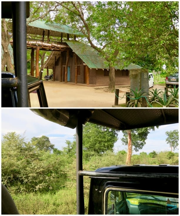 L’entrée du parc. Un petit côté Jurassic Park... les T Rex en moins