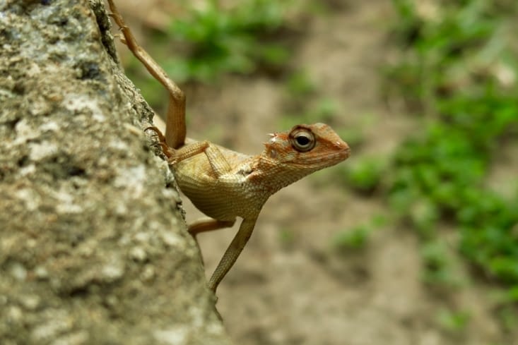 Un voisin qui fait son yoga matinal
