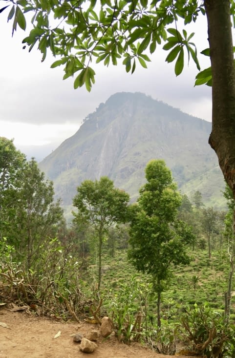 Au départ de la petite randonnée : beau point de vue sur le pic d’Ella, juste en face.
