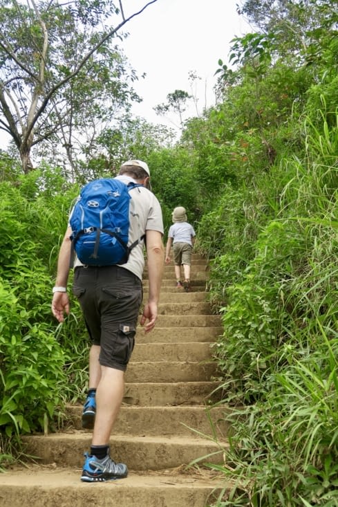 Au départ, de rassurantes marches en pierre...
