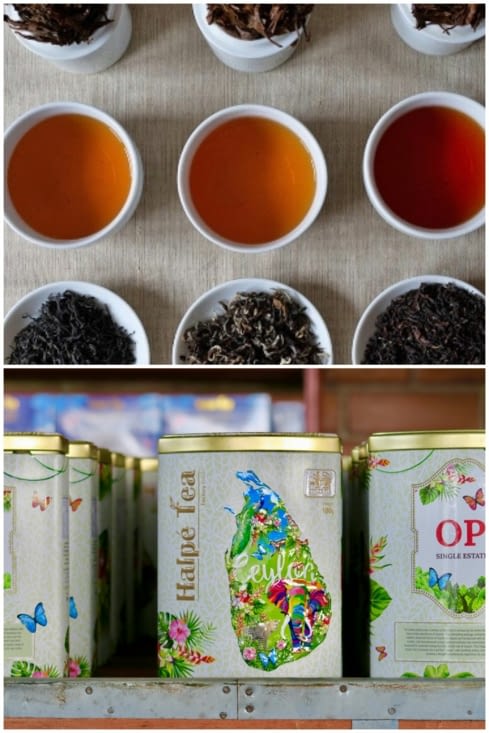 En fait, la vraie dernière étape : la dégustation !