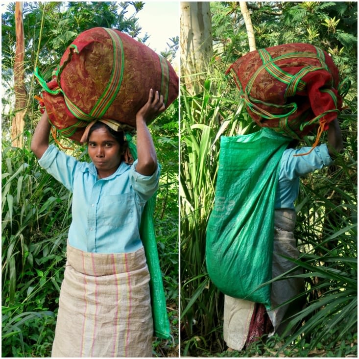 Il faut avoir le dos solide... quel courage !