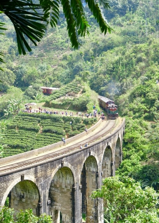 Ça y est, il apparaît !!