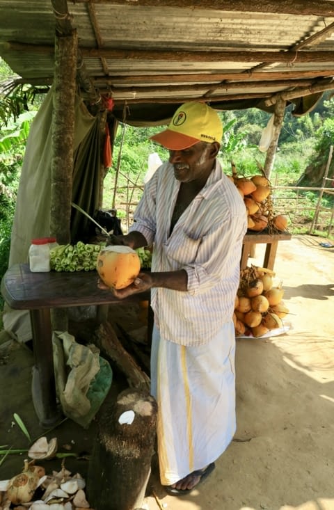 Pause rafraîchissante pendant l’attente