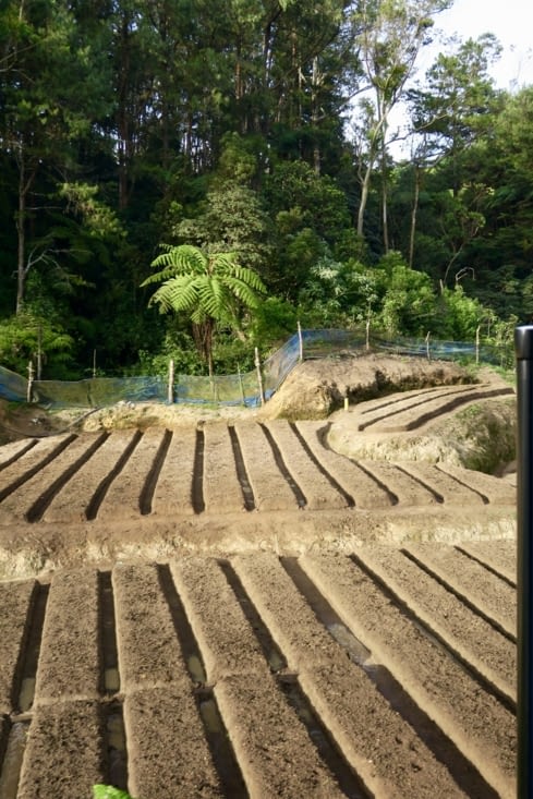 Le nez au vent, les jambes dans le vide, juste devant la porte ouverte...