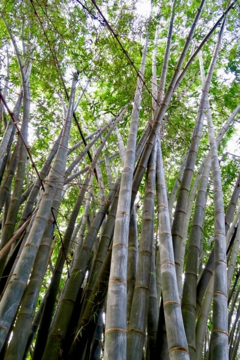 On s’y croirait vraiment...