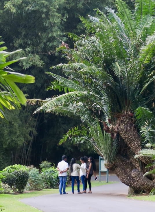 Un climat vraiment idéal pour toute cette végétation !