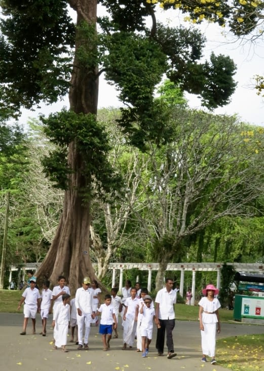 Au Jardin Botanique Royal, un des trésors du Sri Lanka.