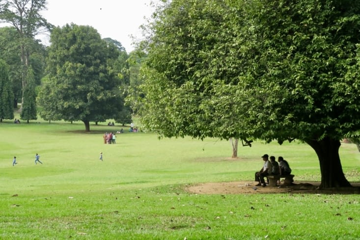 Un petit air de Montsouris ?