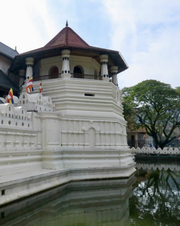 Des douves protègent des bâtiments.