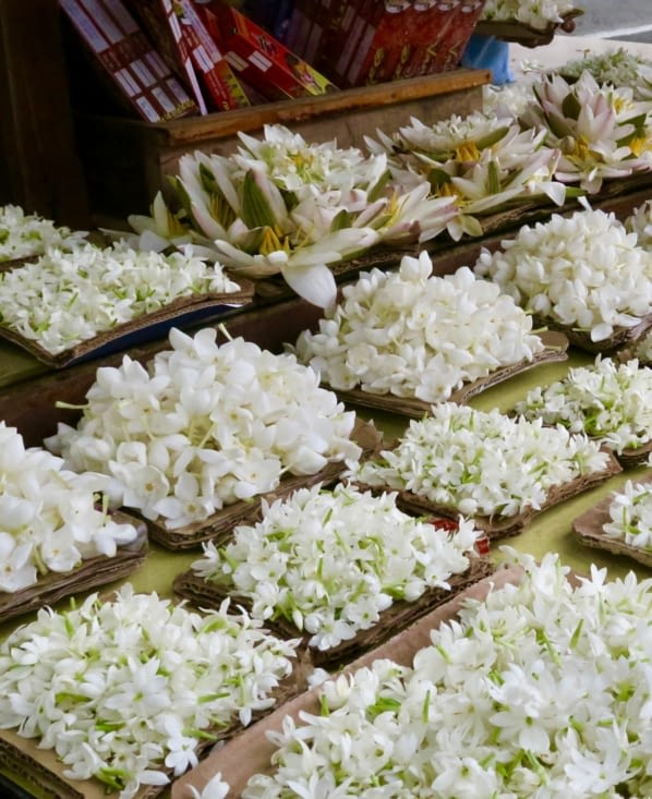 Les fleurs de jasmin que nous offrirons à Bouddha.