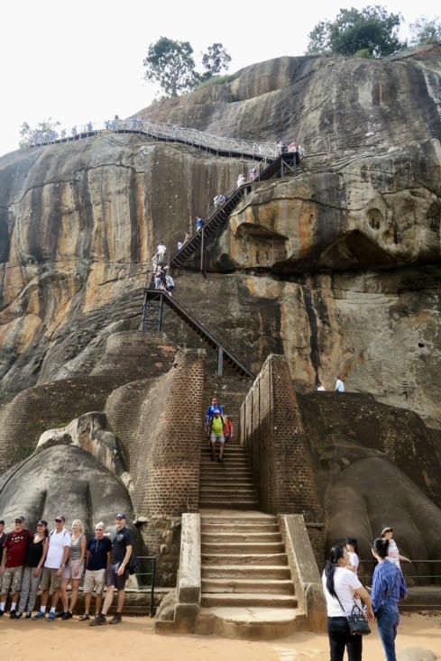 Arrivée à un premier « palier » : les pattes de lion.