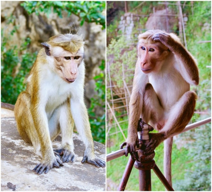 Petite pause détente