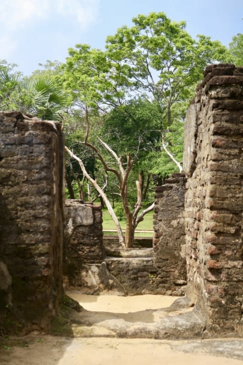 La nature tout autour