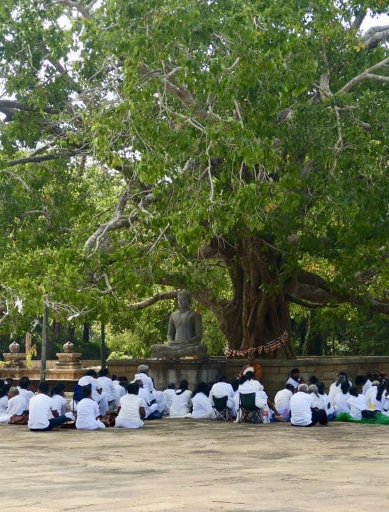 Très émouvant d’entendre les prières et les chants, sous ce très vieil arbre.