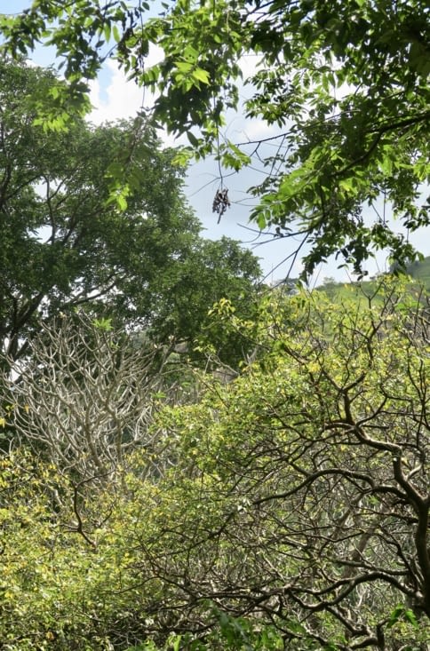 Après la descente dans la verdure, nous retrouvons Maël, Kamal et la voiture...
