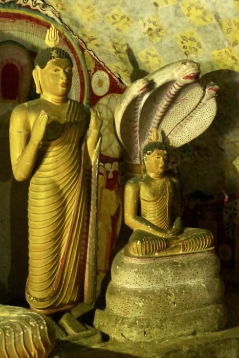 Bouddha sous le cobra