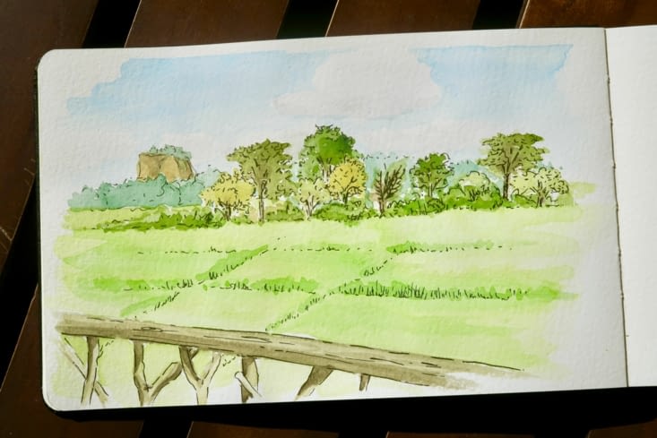 Petite pause aquarelle : le vert des rizières est saisissant...
