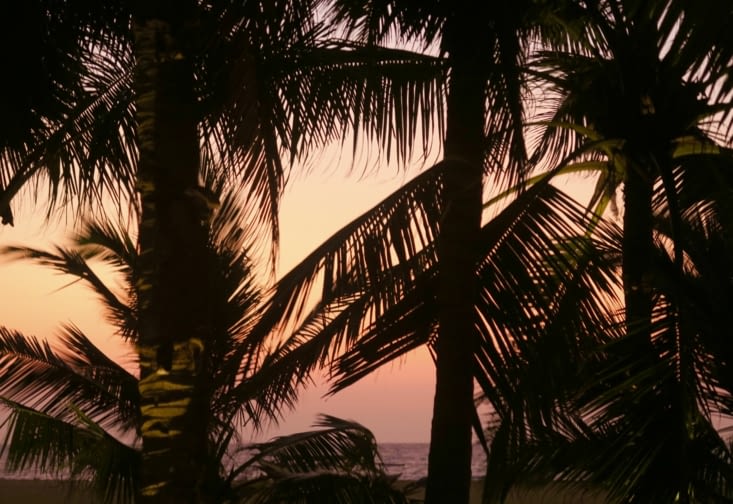 Au revoir Sri Lanka, nous sommes tombés amoureux !!