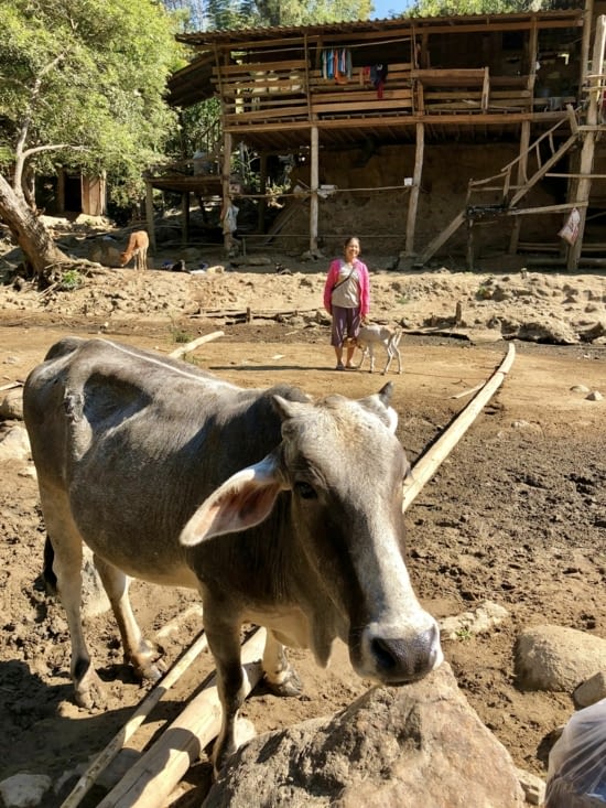Au revoir le village !