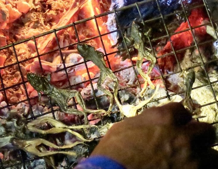 C’est le moment idéal pour grignoter... des grenouilles séchées et grillées !