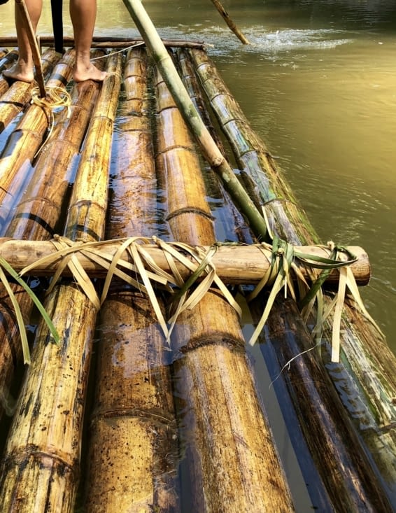 Même les cordes sont végétales.