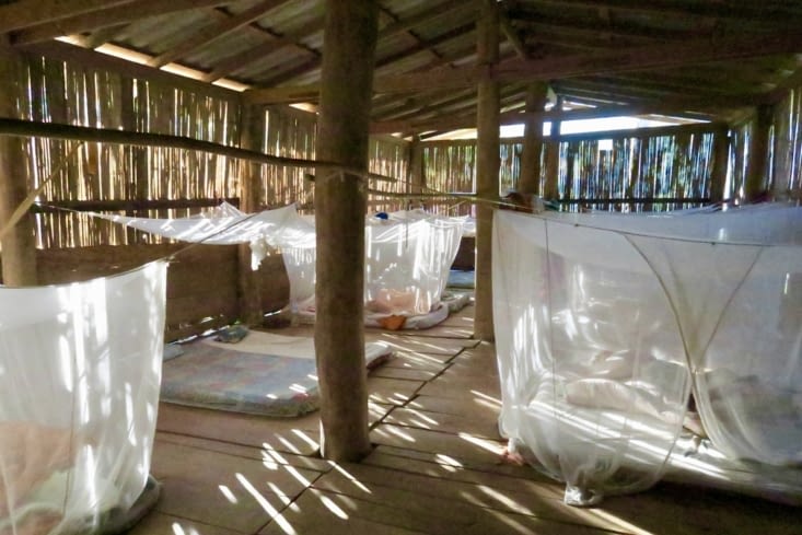 Réveillés par le soleil qui perce à travers les bambous.