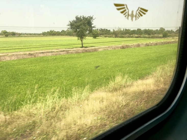 Le logo de la Thaï Railway s’envole au-dessus des champs de cannes à sucre, des rizières..