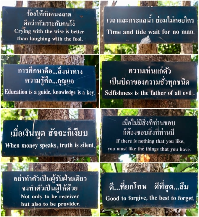 Dans le jardin d’un temple, matière à réflexion...