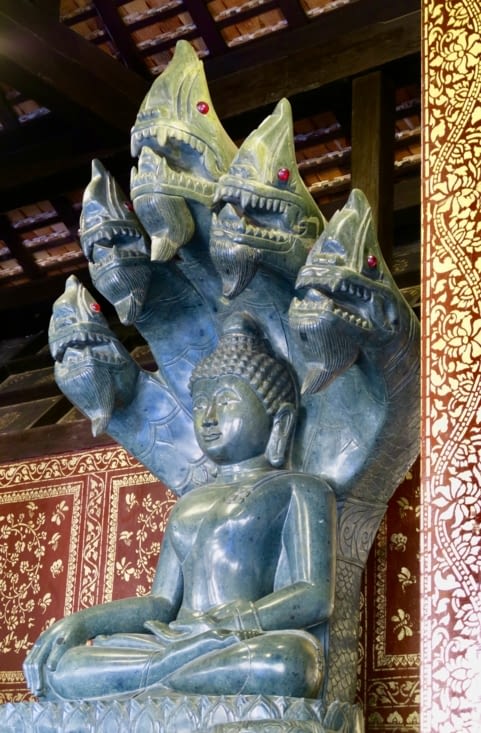 Impressionnant cobra à 5 têtes protégeant Bouddha