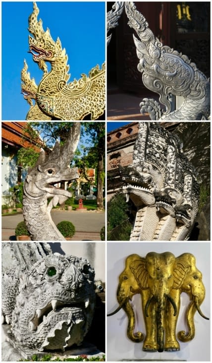 Quelques bestioles...