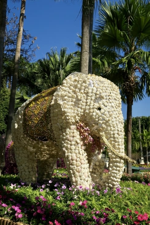 Un avant-goût de ce que nous rencontrerons demain - surprise ?