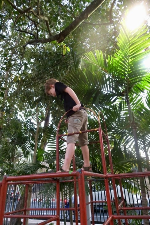 Une cage à poule(t)