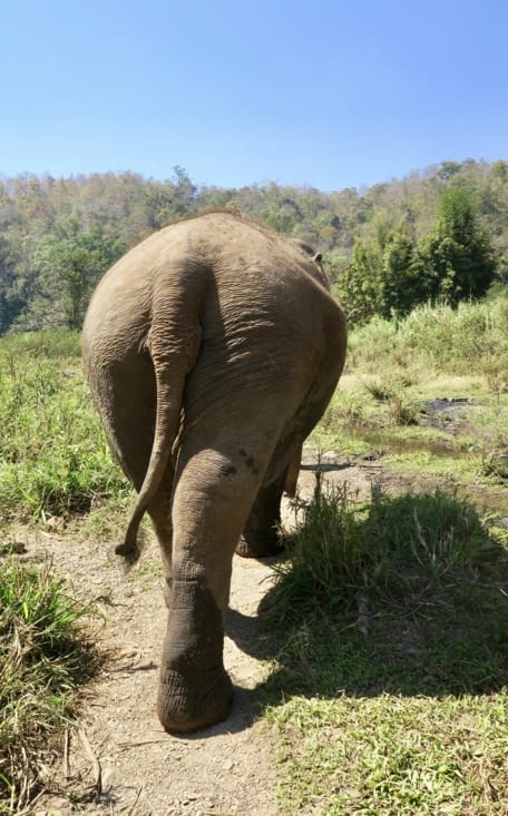 ... sinon ils nous bousculent sans ménagement (j’ai testé !).