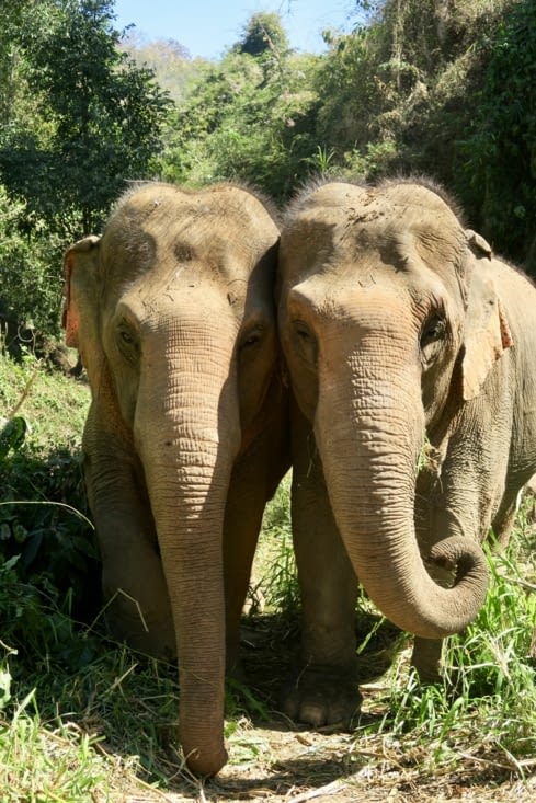 A deux mètres de nous, la mère (à droite) et la fille (à gauche).