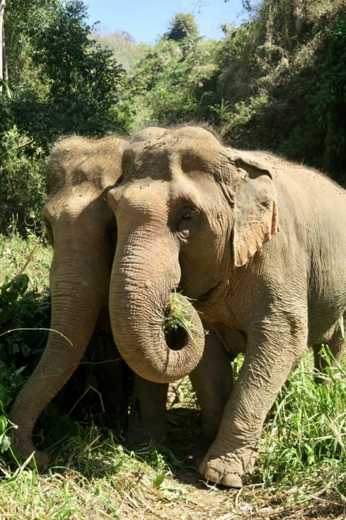 Allez, en route vers le bain !