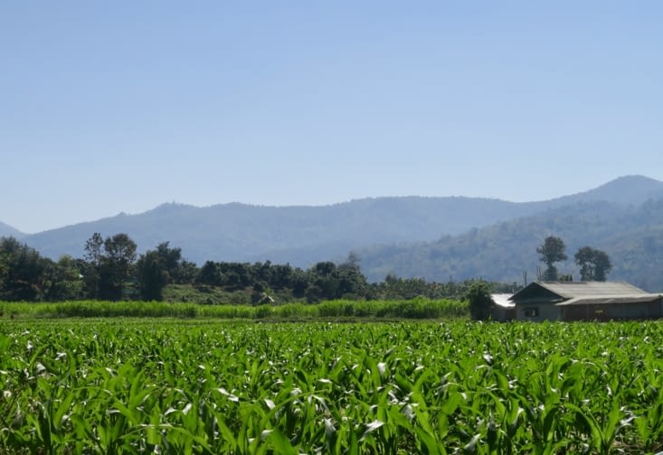 Après le déjeuner des éléphants, c’est à notre tour, puis nous partons dans la campagne,