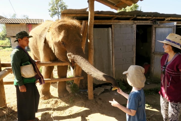 Celui-là a exactement le même âge que Maël...