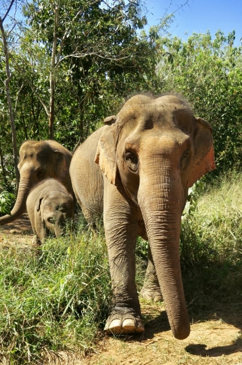 Euh, oui attendez, on se pousse !...