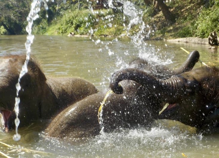 ... plus on barrit !!