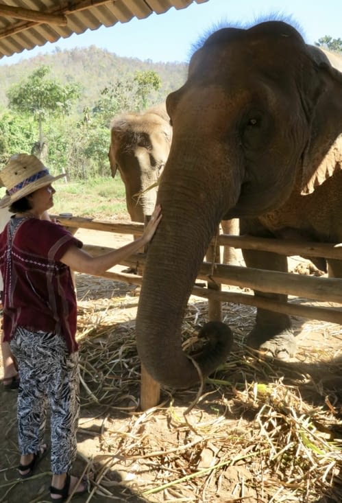 Les présentations sont faites, on peut passer à l’étape suivante...