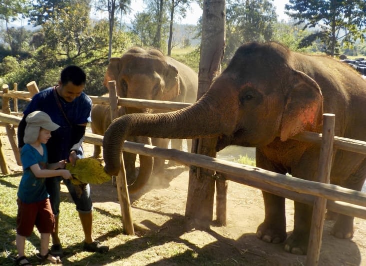 Un petit goûter après le bain, et nous saluons les éléphants.