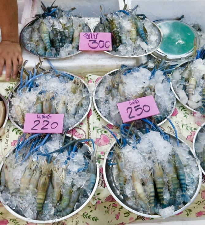 Ou des crevettes bleues ?