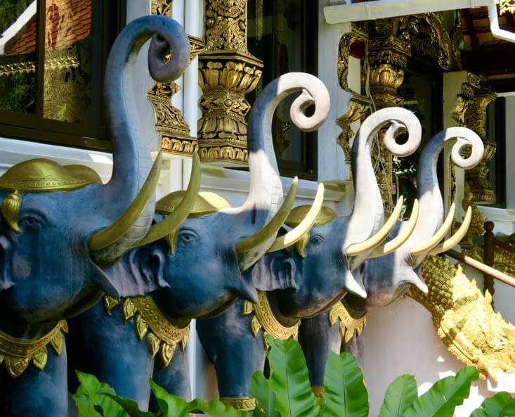 C’est vraiment la région des éléphants...