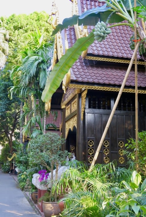 Une oasis de fraîcheur, aussi, avec toutes ces plantes...