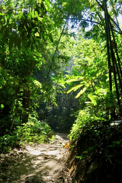 Aaaah trop bon tout ce vert !!