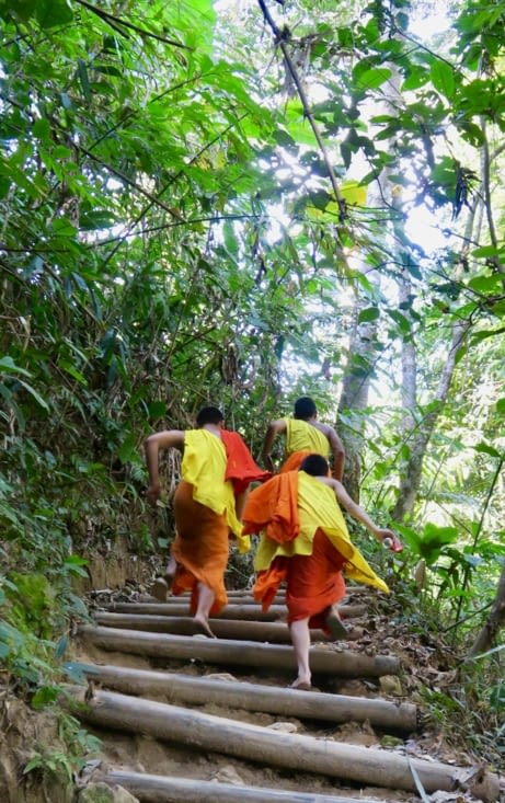 Ils sont plus rapides en montant que nous en descendant !...