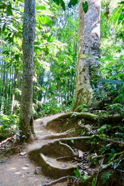 Le chemin rétrécit et on commence à entendre un son de cascade...