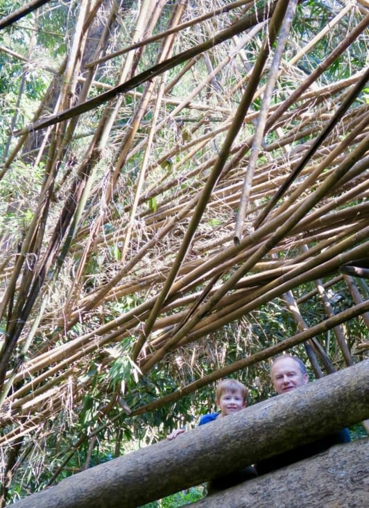 Un ptit Mikado pour terminer la rando ?
