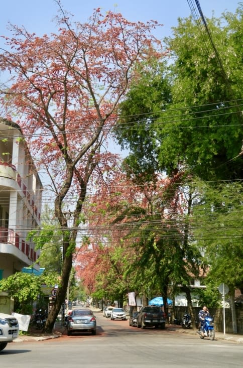 Sur le chemin du retour.